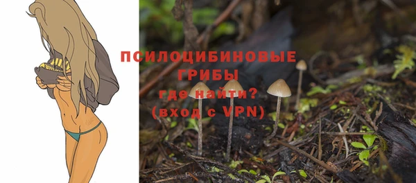 тгк Медногорск