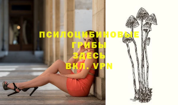 стаф Михайловка