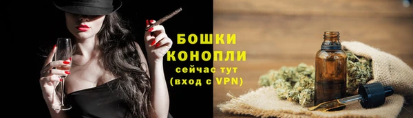 стафф Михайлов