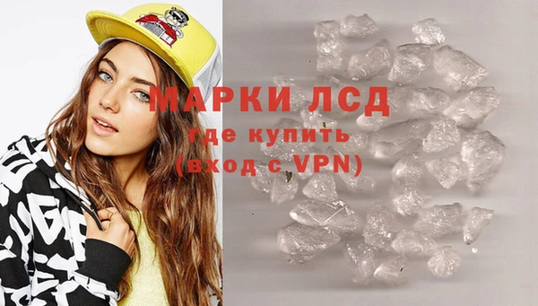 стафф Михайлов