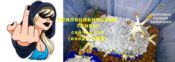 МДПВ Медвежьегорск