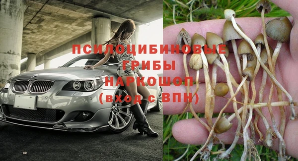 МДПВ Медвежьегорск